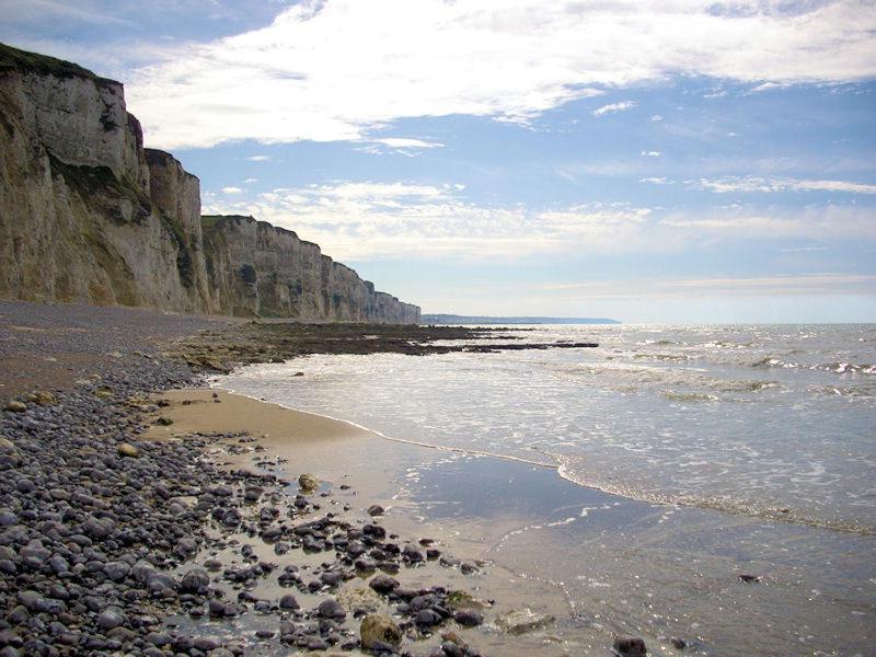 Villa Les Falaises Berneval-le-Grand Esterno foto