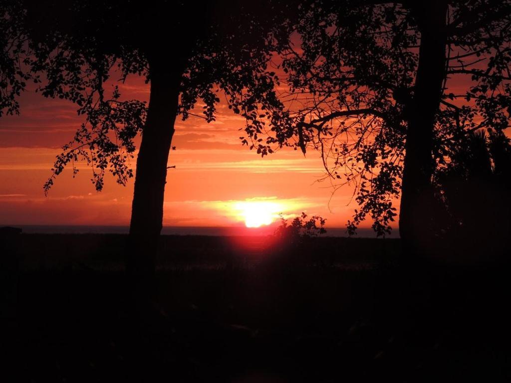 Villa Les Falaises Berneval-le-Grand Esterno foto